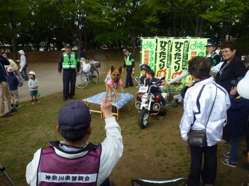P1040424_512.jpg