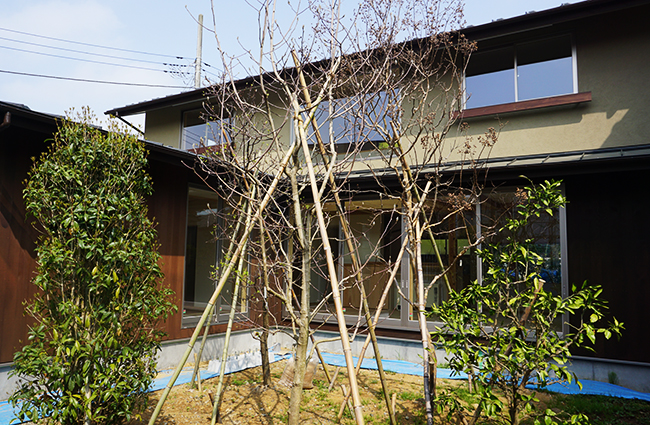 yteigaikan