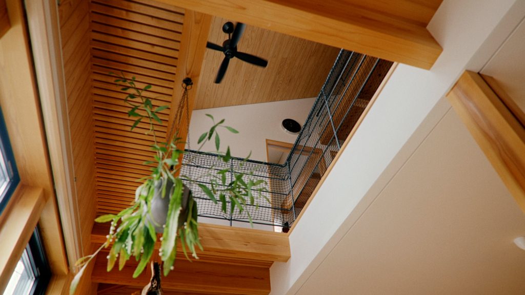 V2.00_01_22_20.静止画031