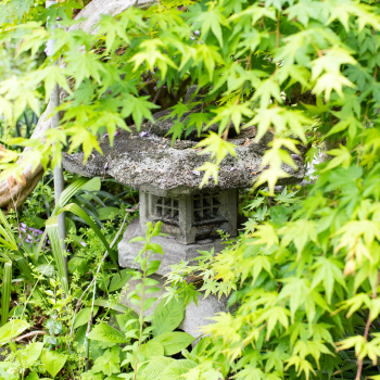 玄関まわり