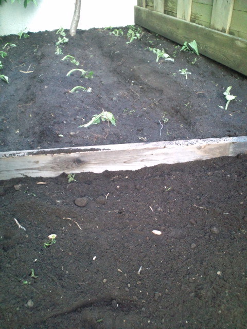20100509174054.jpg